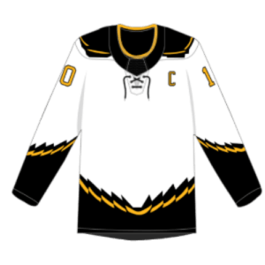 reverse retro bruins concept hockey sweater