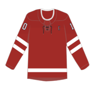 2010 team Canada hockey jersey template