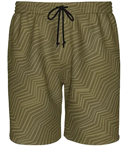 Lions Volleyball short