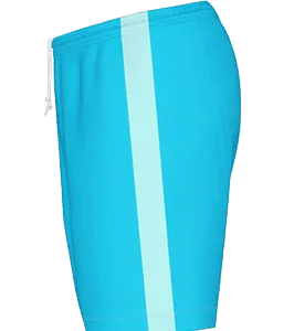 Single Stripe Soccer Shorts