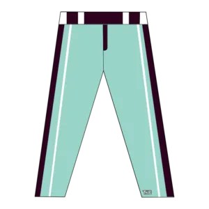 Pantalon de baseball inspiré de Houston