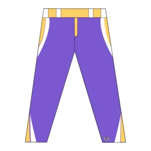 Pantalon de baseball inspiré des Patriots